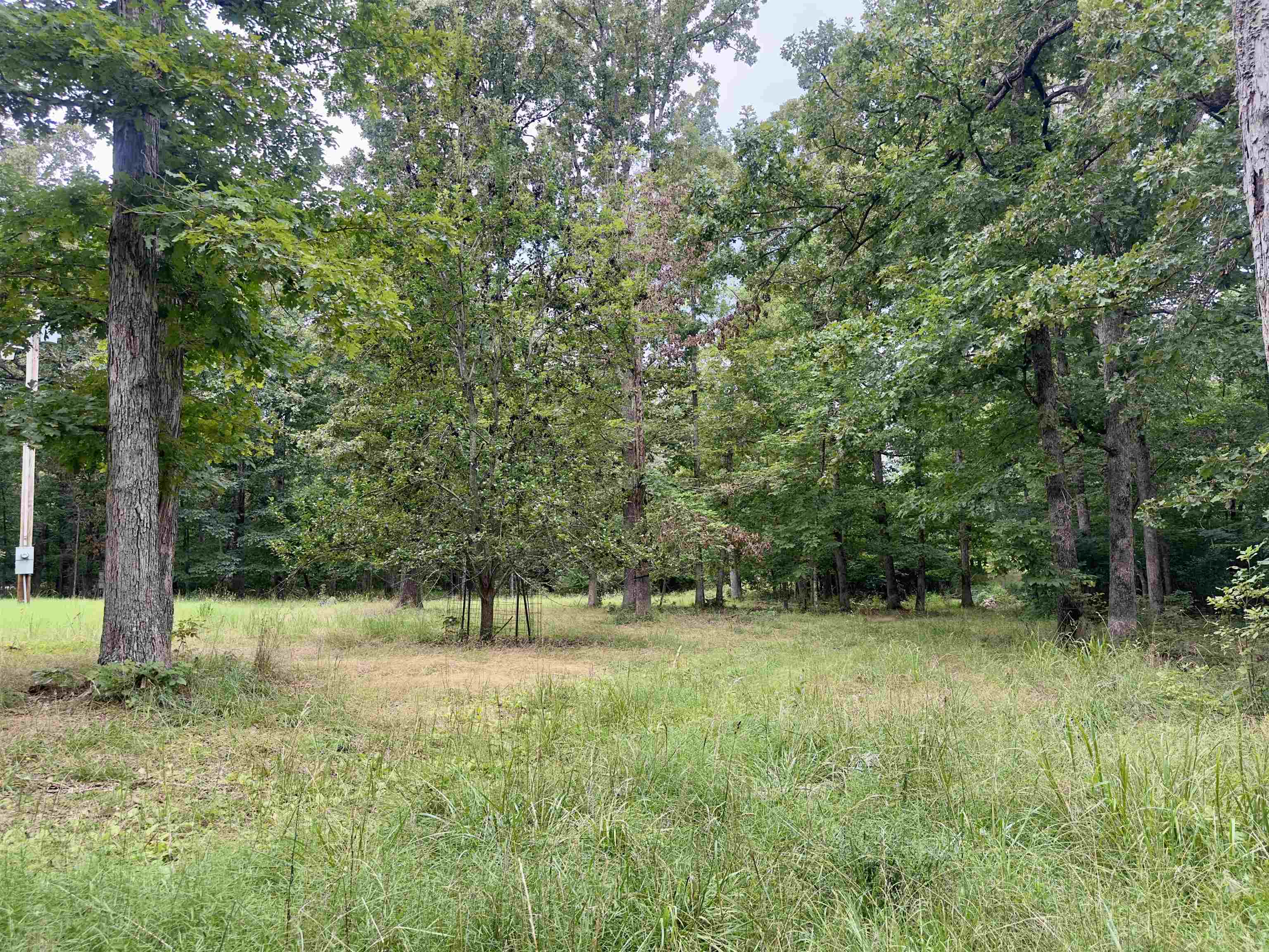 464 Acres  Williford, AR