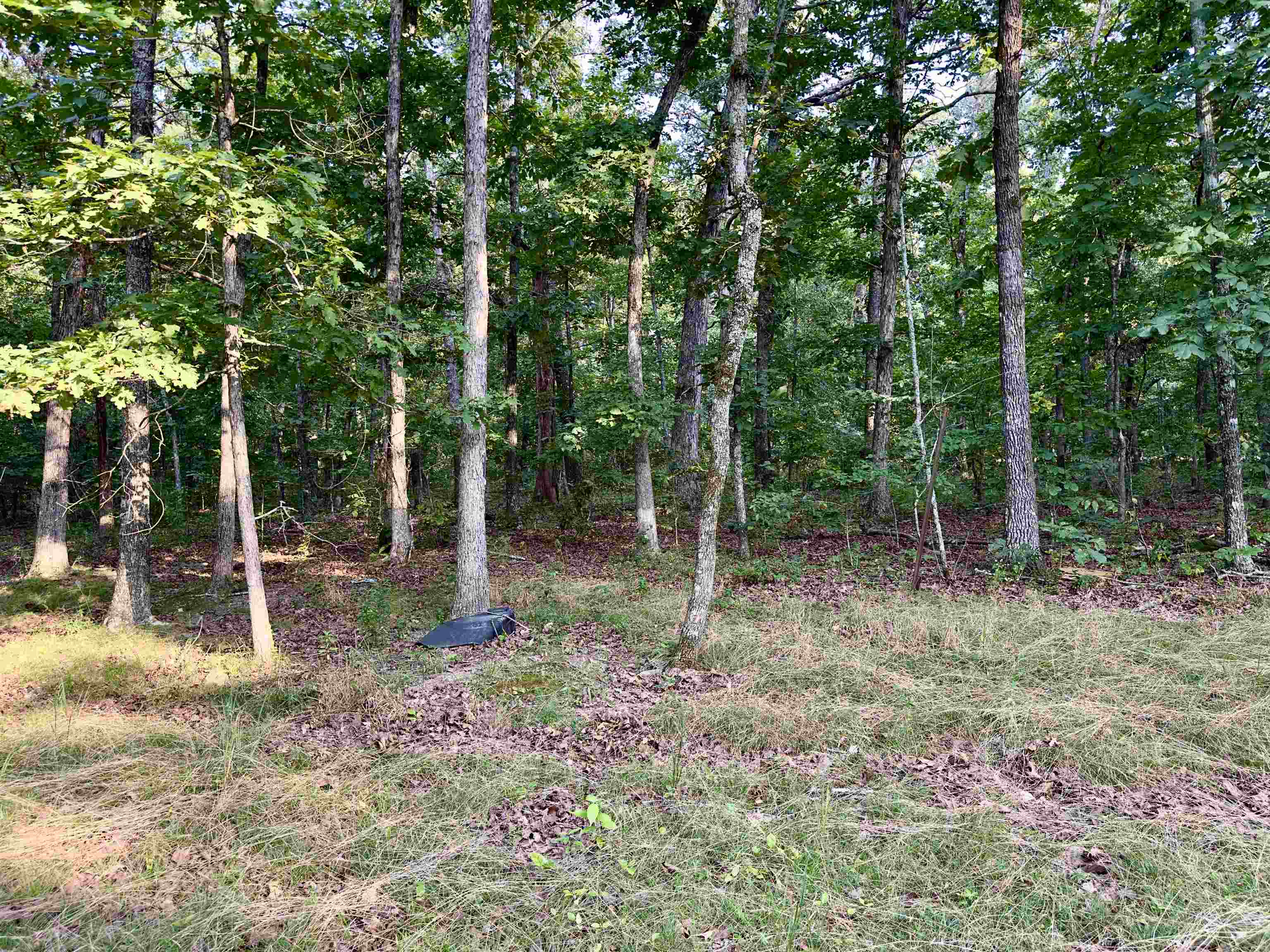 464 Acres  Williford, AR