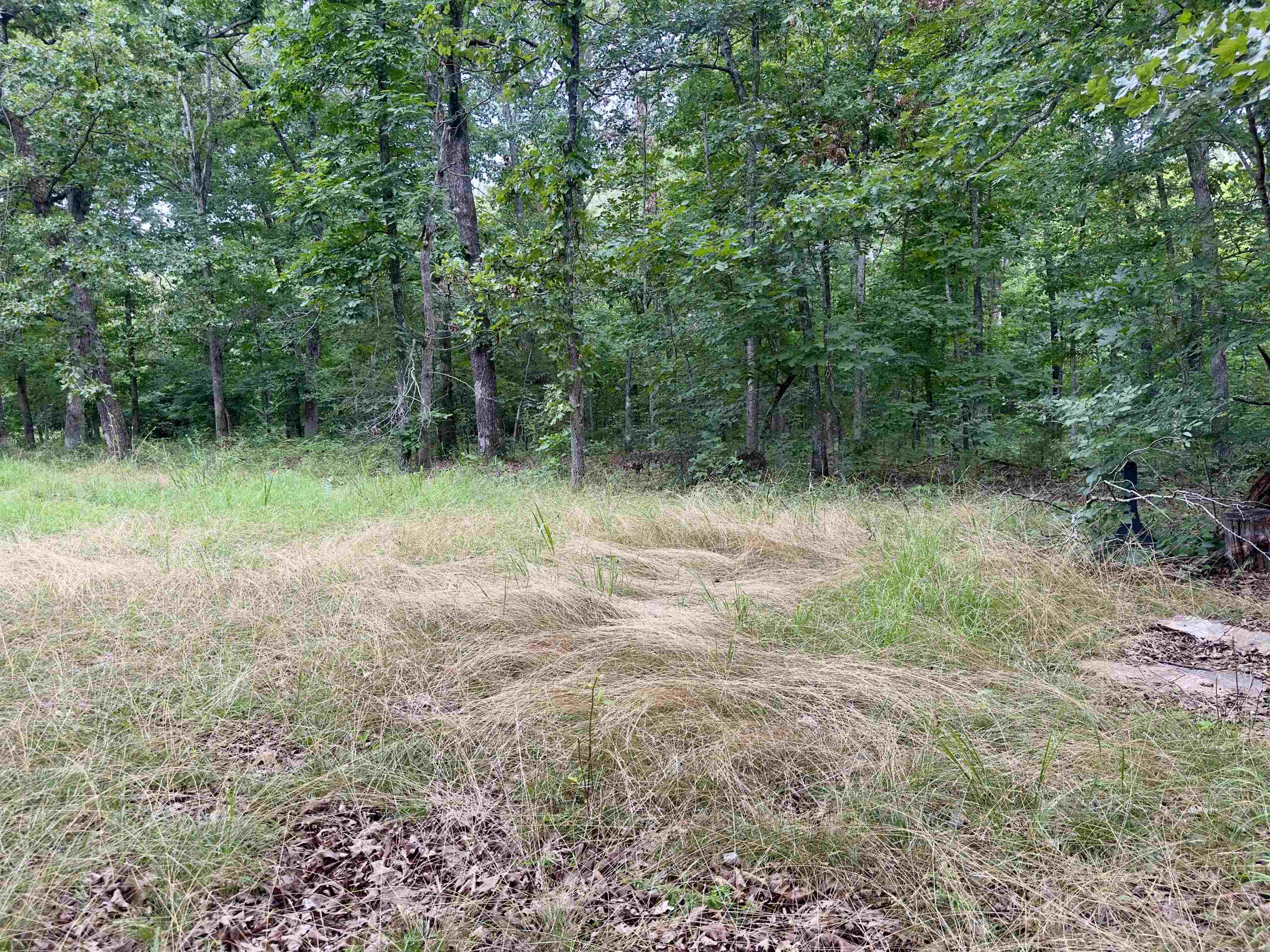 464 Acres  Williford, AR