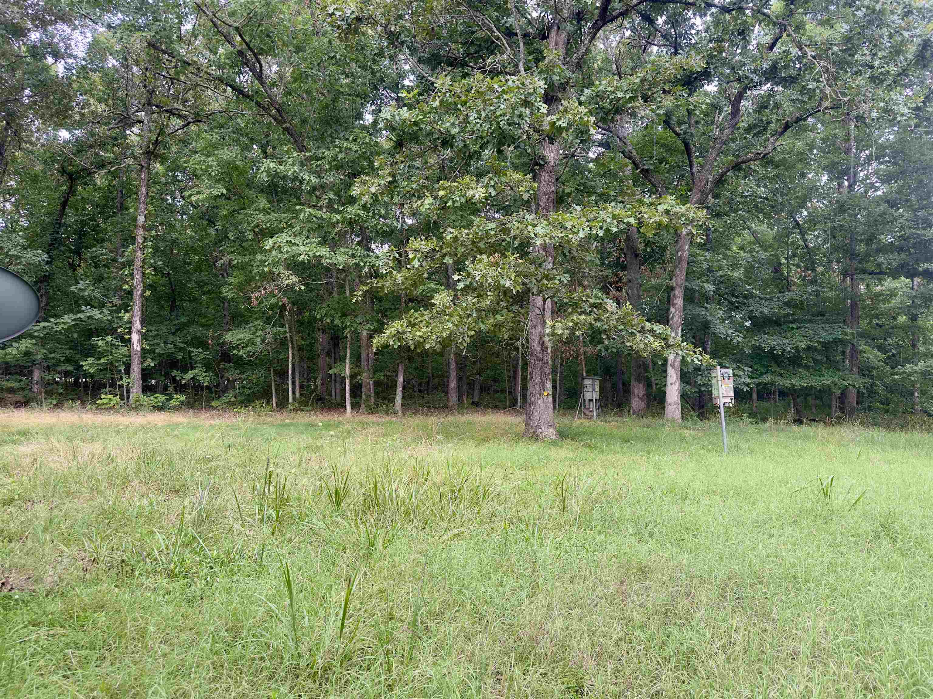 464 Acres  Williford, AR