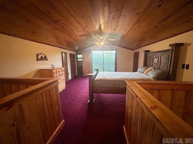 3558 Sunny Fox  Mountain View, AR