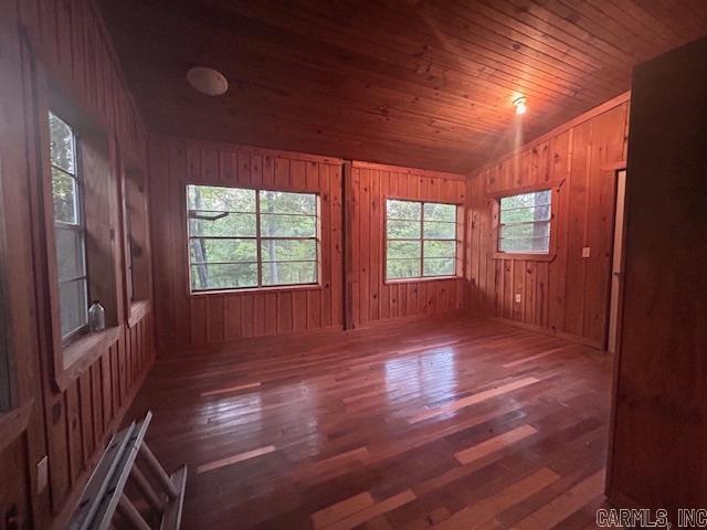 3558 Sunny Fox  Mountain View, AR