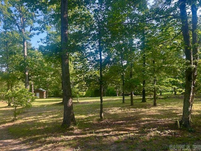 3558 Sunny Fox  Mountain View, AR