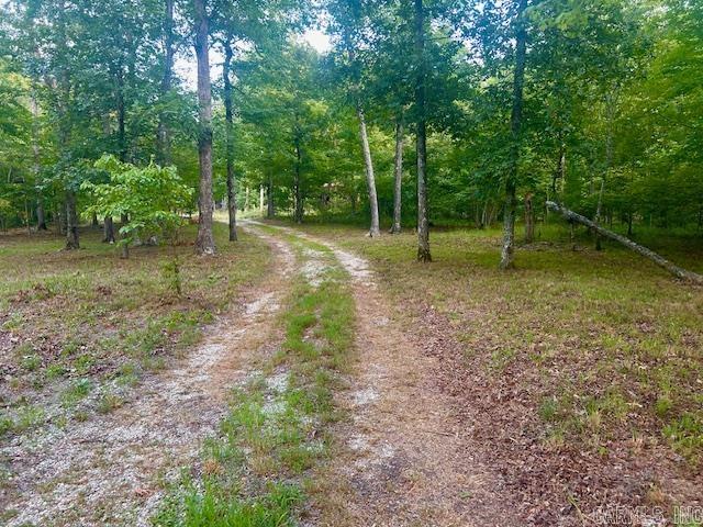 3558 Sunny Fox  Mountain View, AR