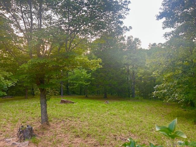 3558 Sunny Fox  Mountain View, AR