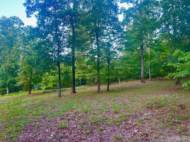 3558 Sunny Fox  Mountain View, AR