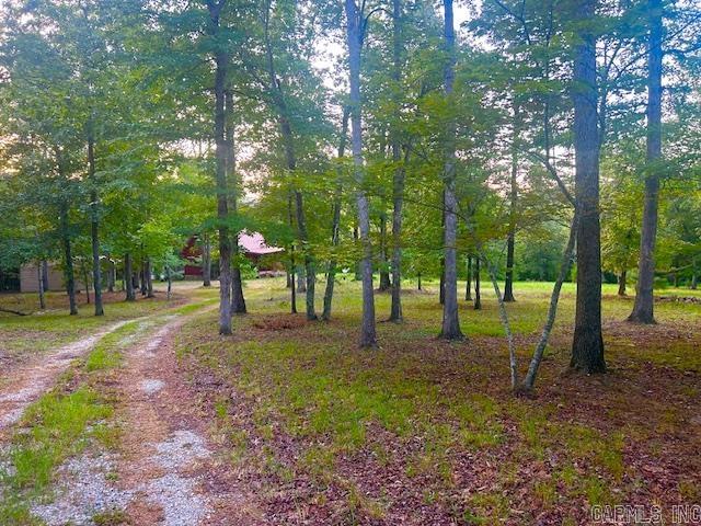 3558 Sunny Fox  Mountain View, AR