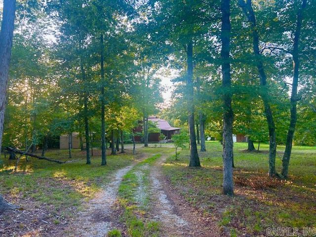 3558 Sunny Fox  Mountain View, AR