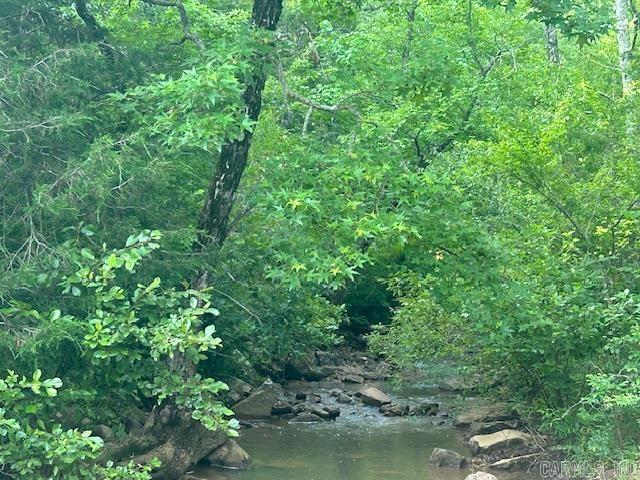 3558 Sunny Fox  Mountain View, AR