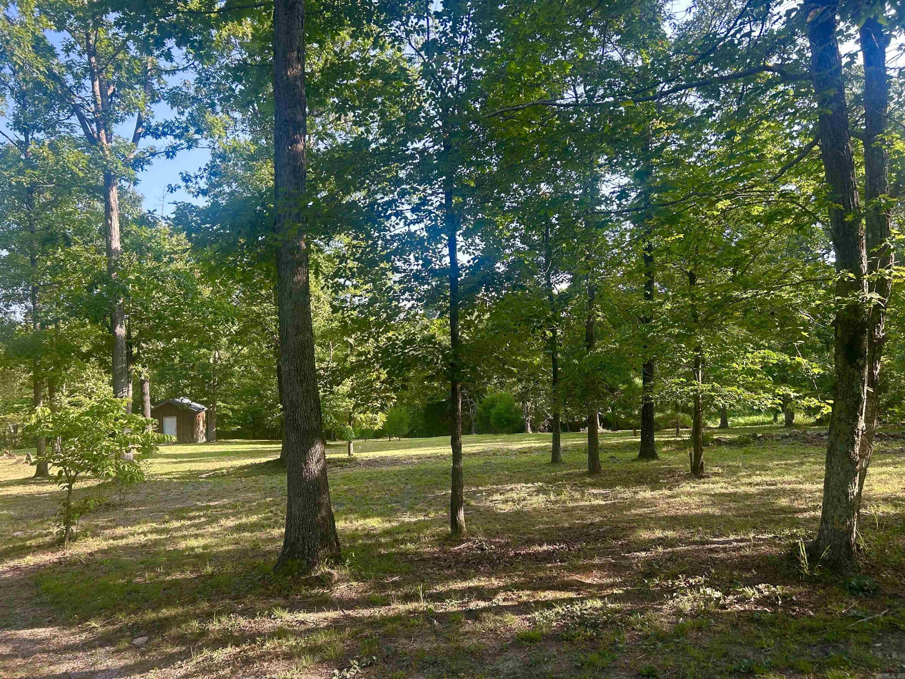 3558 Sunny Fox  Mountain View, AR