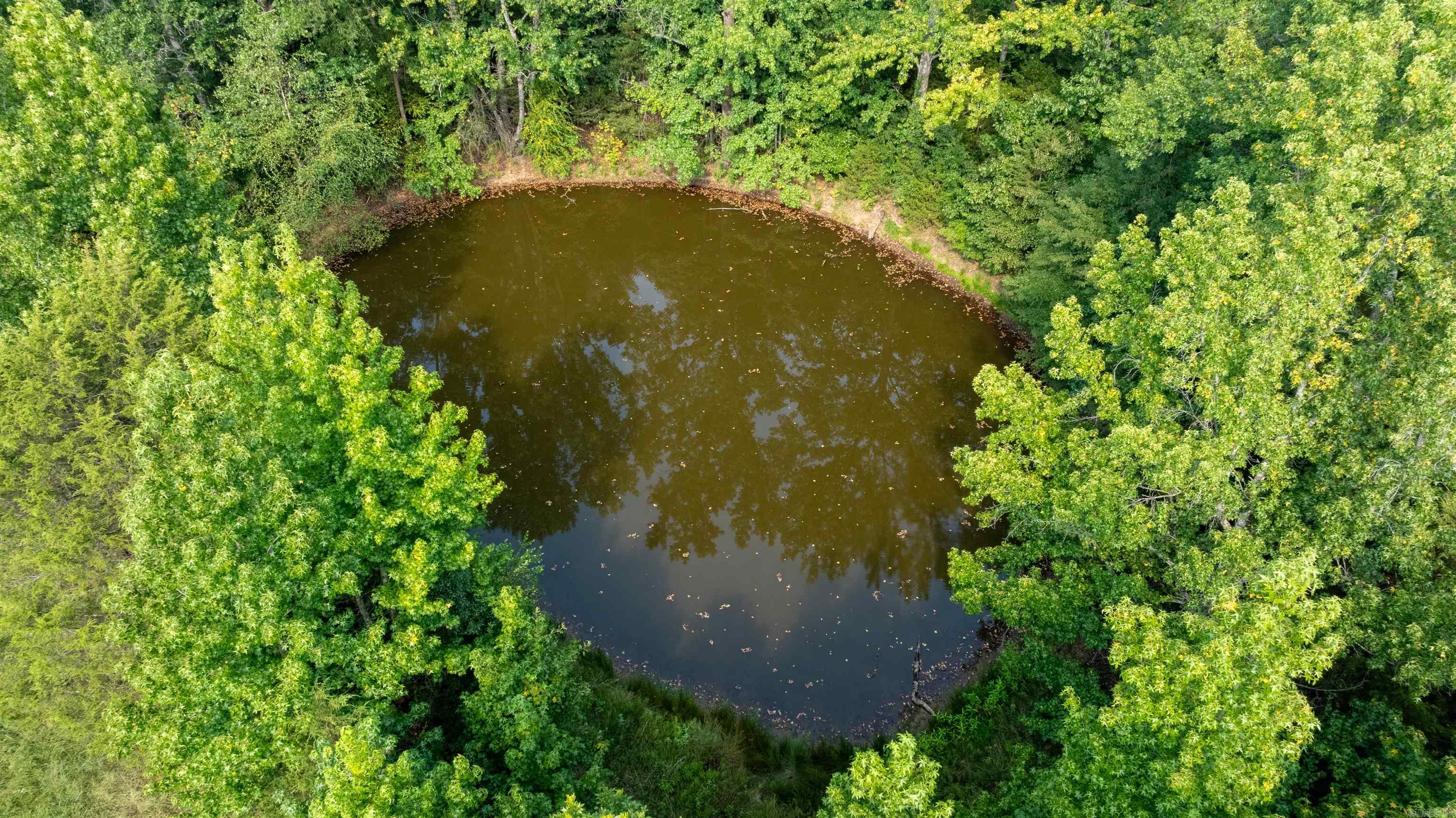 55 Hall Dr  Magness, AR
