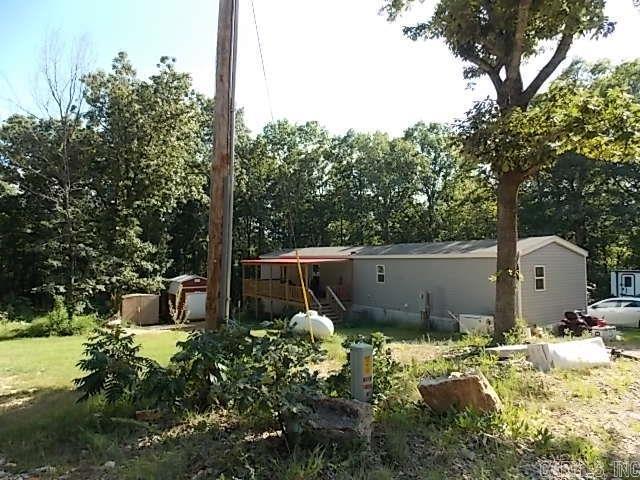 11 Eagle  Williford, AR