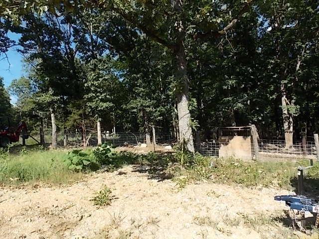 11 Eagle  Williford, AR