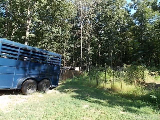 11 Eagle  Williford, AR
