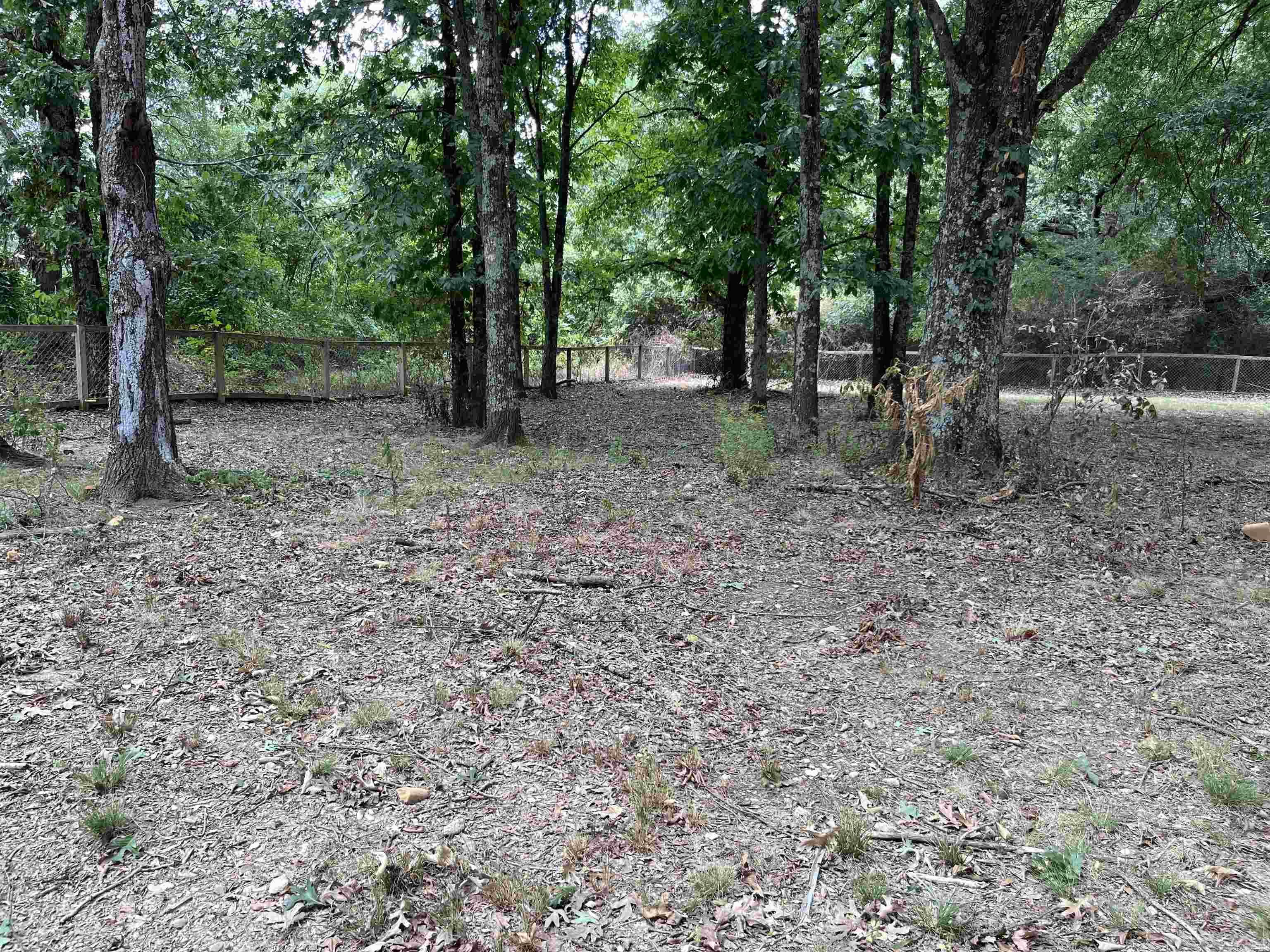 494 Salem Church  Judsonia, AR
