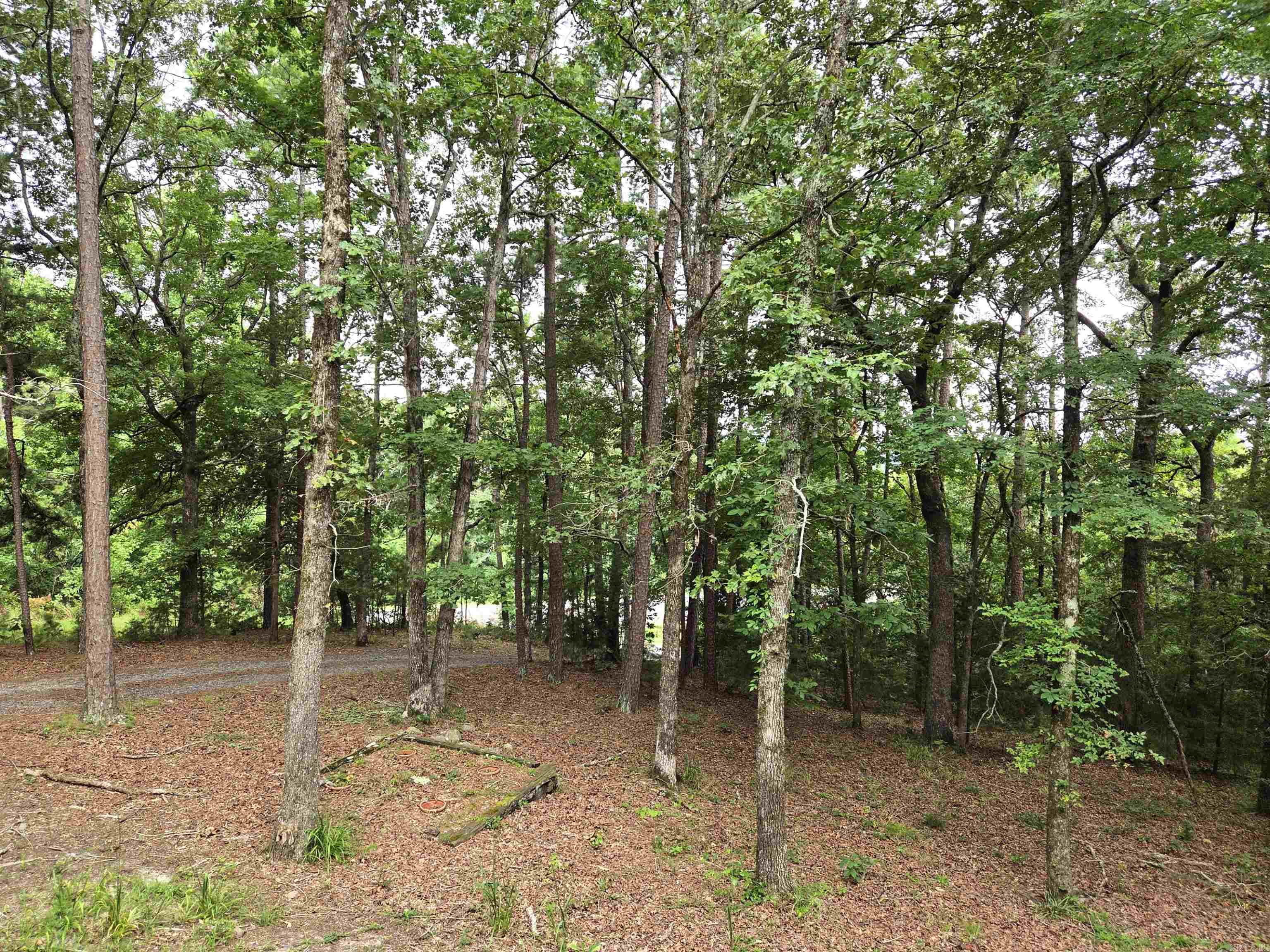 4014 Hwy 71 S  Mena, AR
