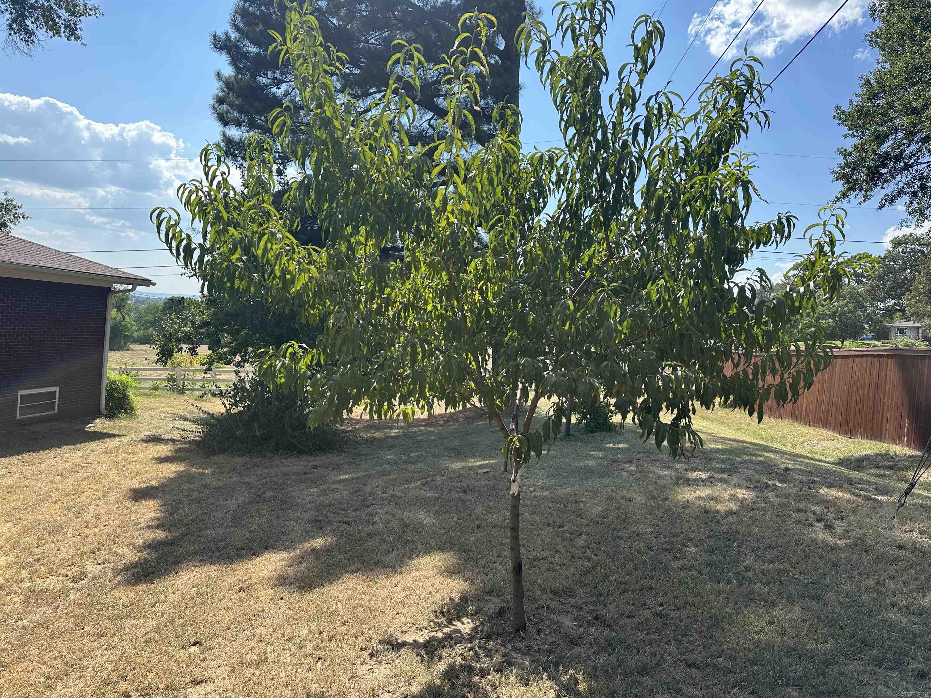 1201 Magnolia  Morrilton, AR