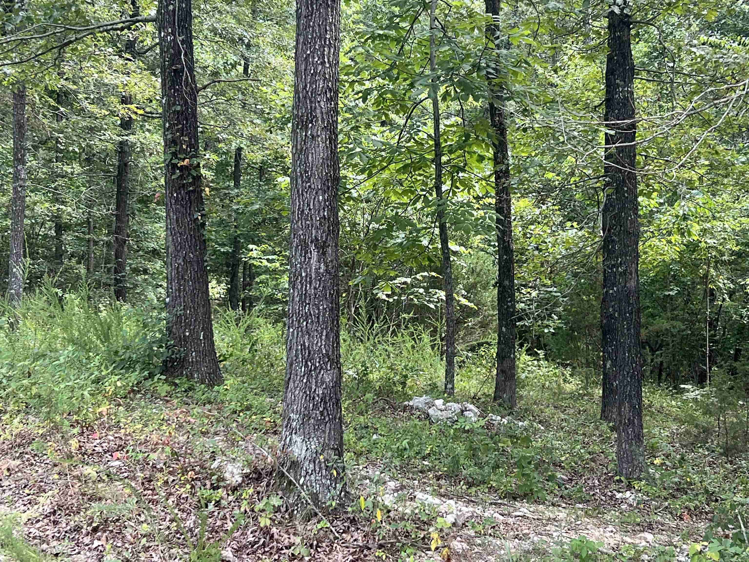 528 Black Oak Road