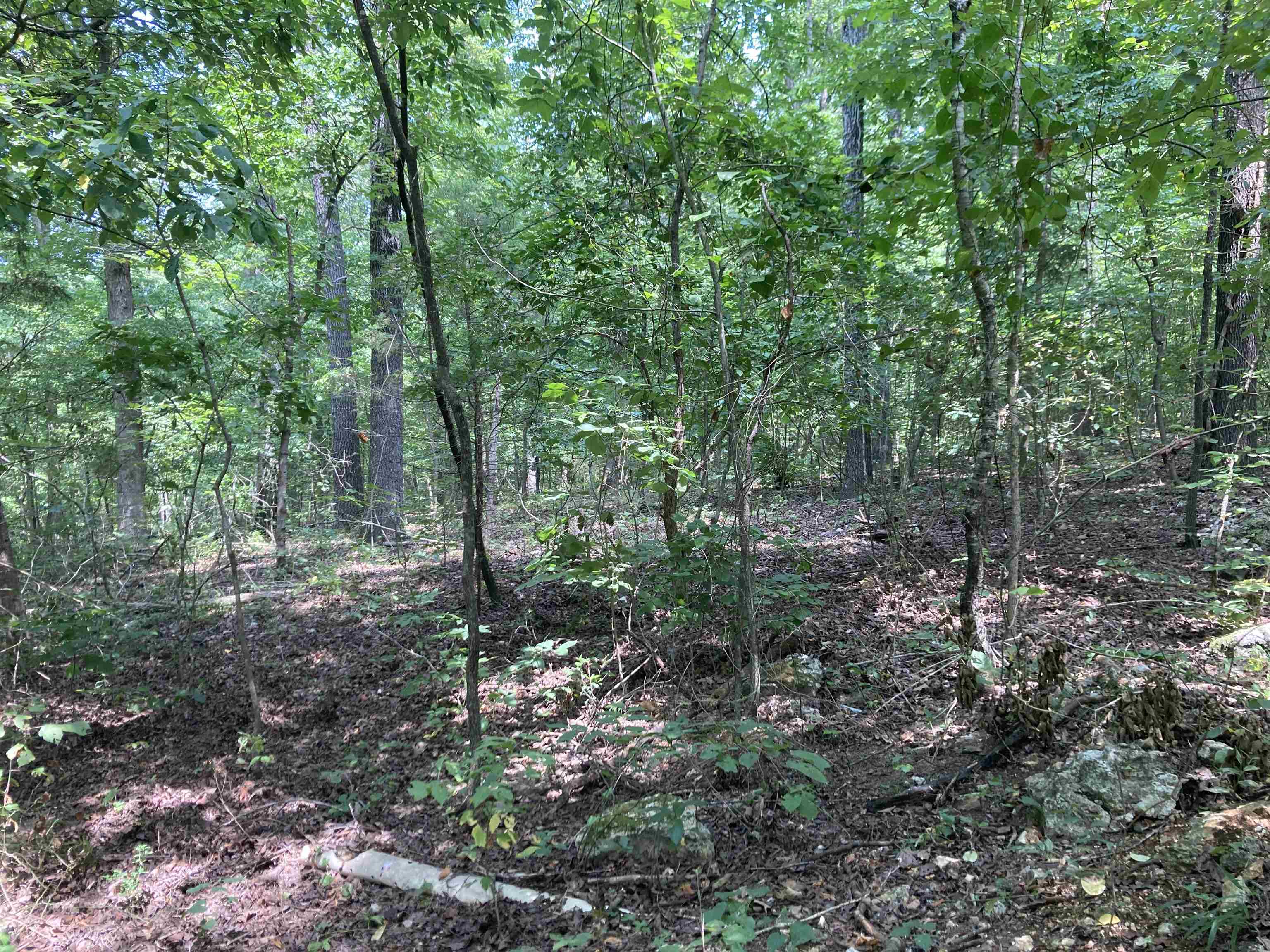 8766 Nine Mile Ridge  Hardy, AR