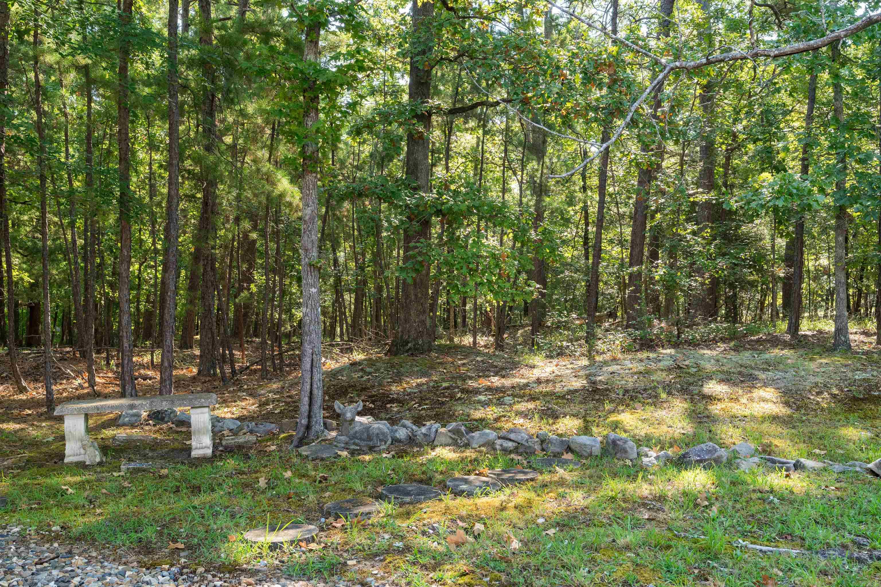 106 Cifuentes Way  Hot Springs Village, AR