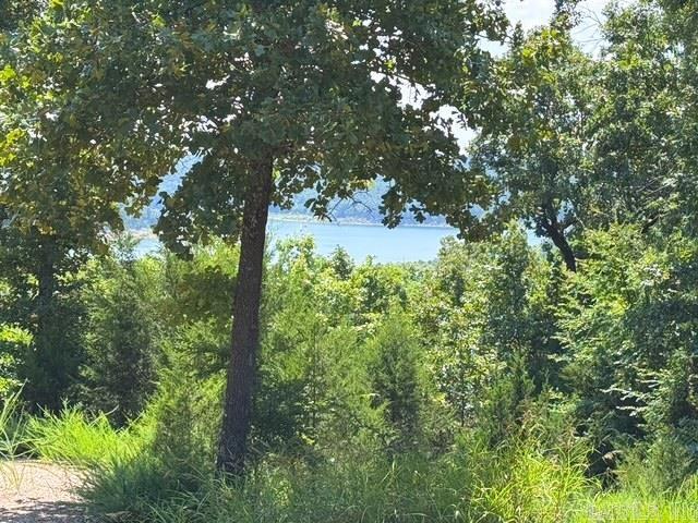 706 Blackjack  Mountain Home, AR