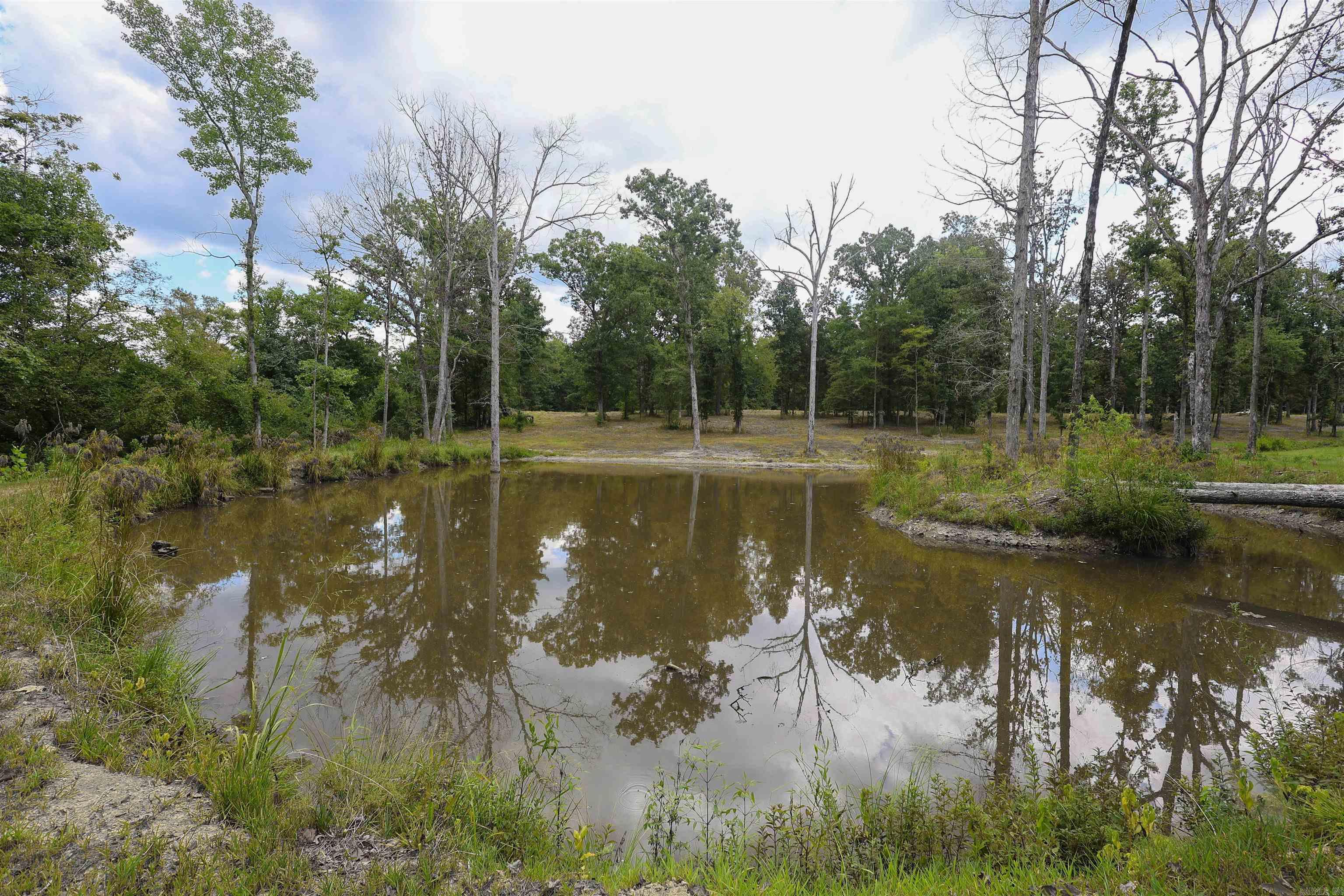 28 Mason  Amity, AR