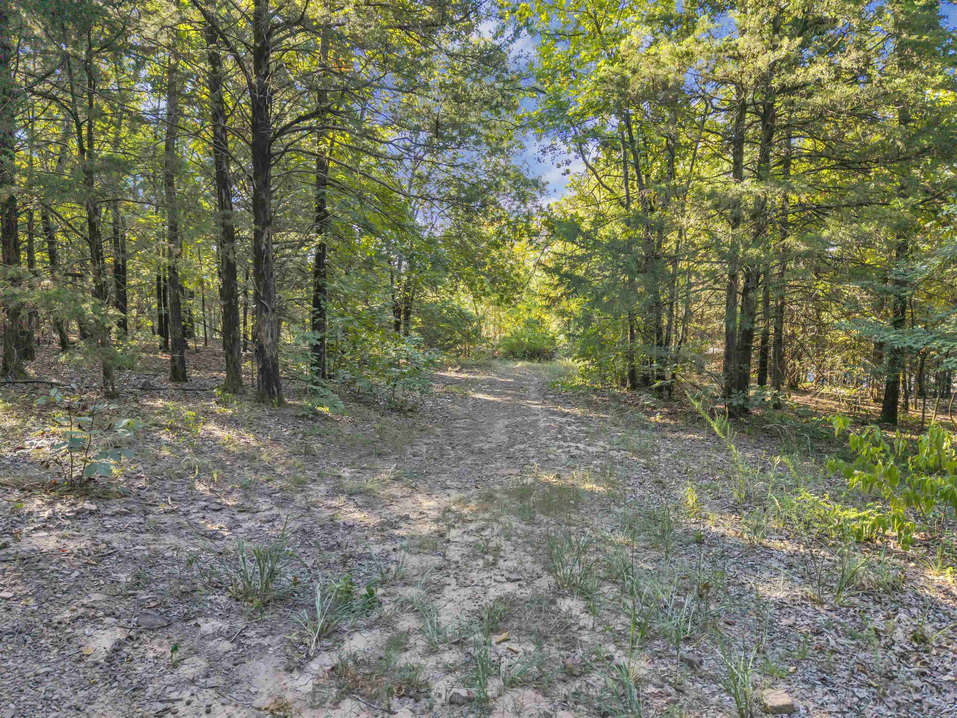 23 Reville  Springfield, AR