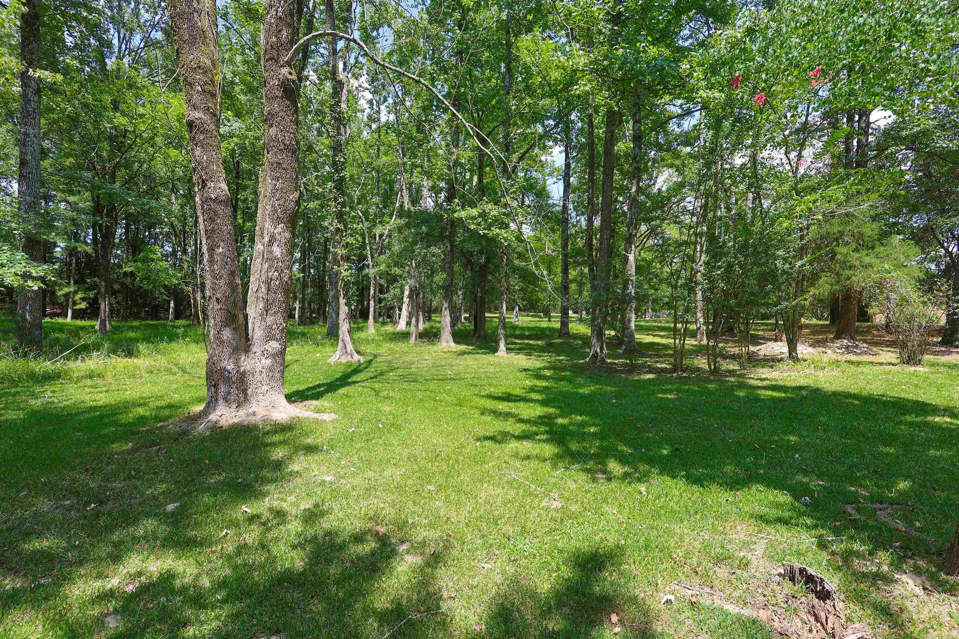 228 Park St.  Glenwood, AR