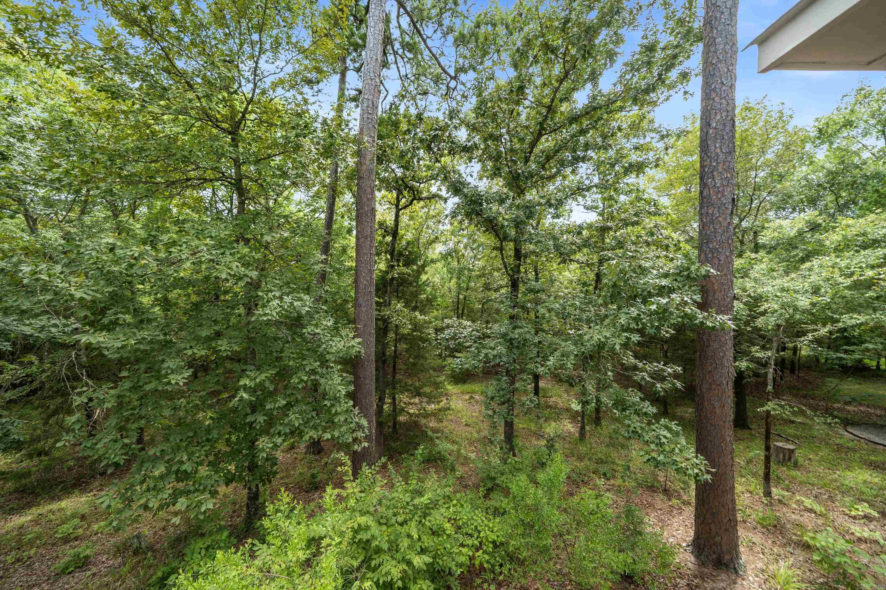 11 Arista  Hot Springs Village, AR