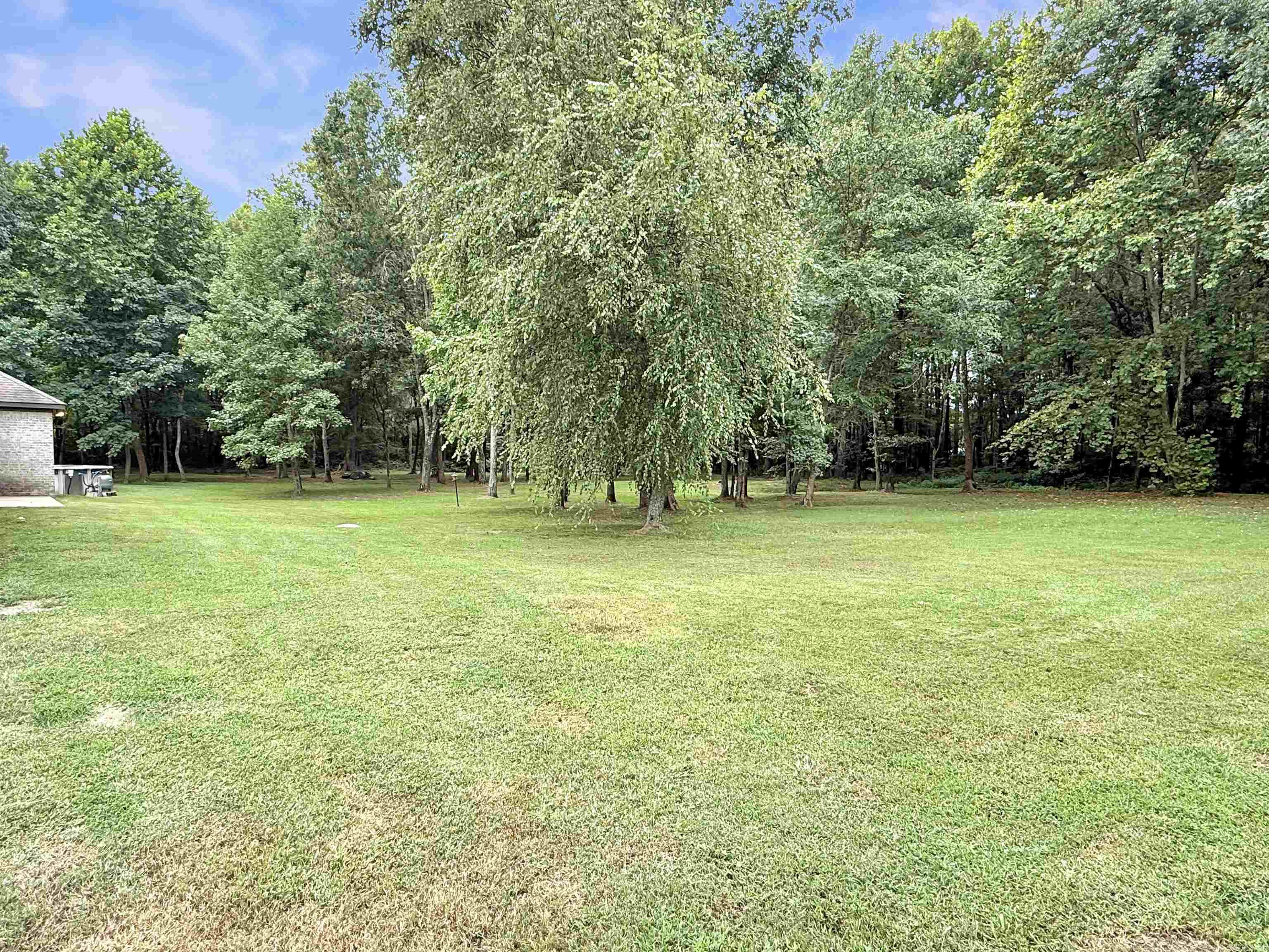 305 Sandy Creek  Ward, AR