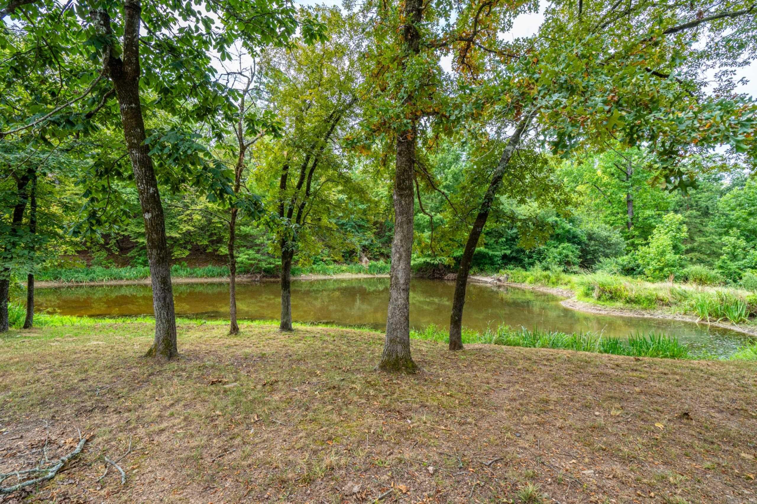 137 Enchanted Cove Hot Springs, AR 71901-2369