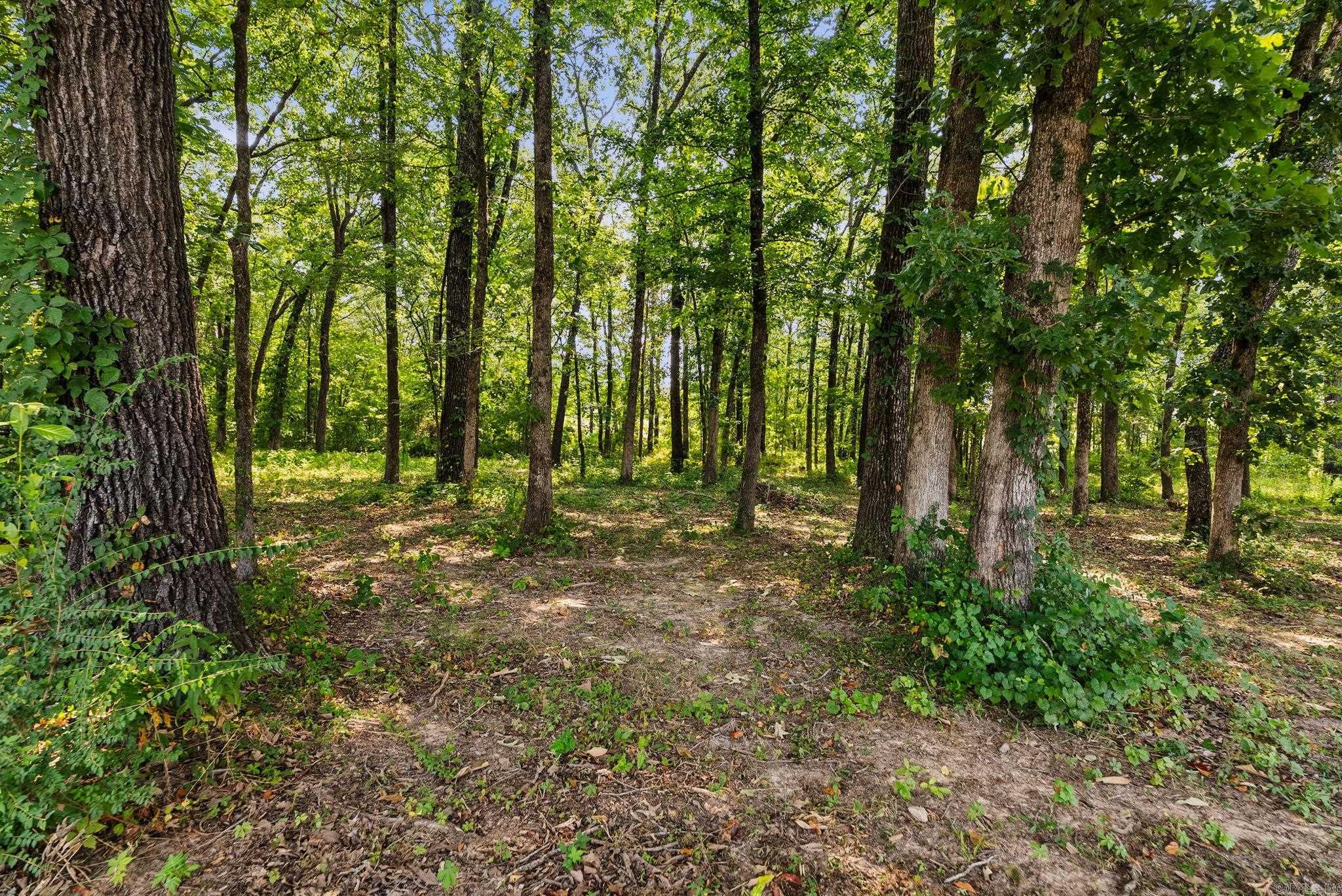 92 Garrison  Greenbrier, AR
