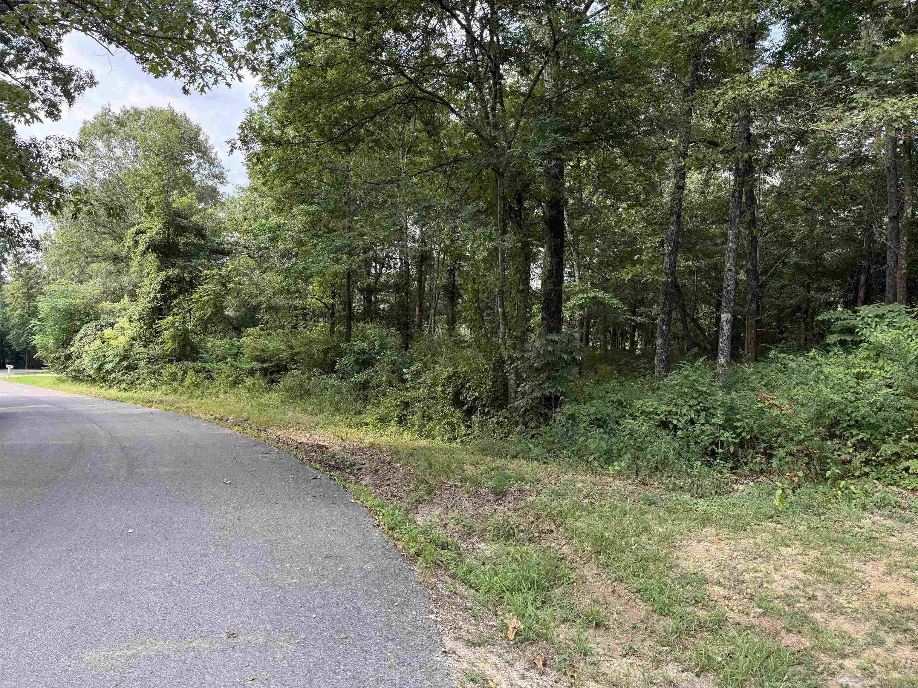 16 Camp Road