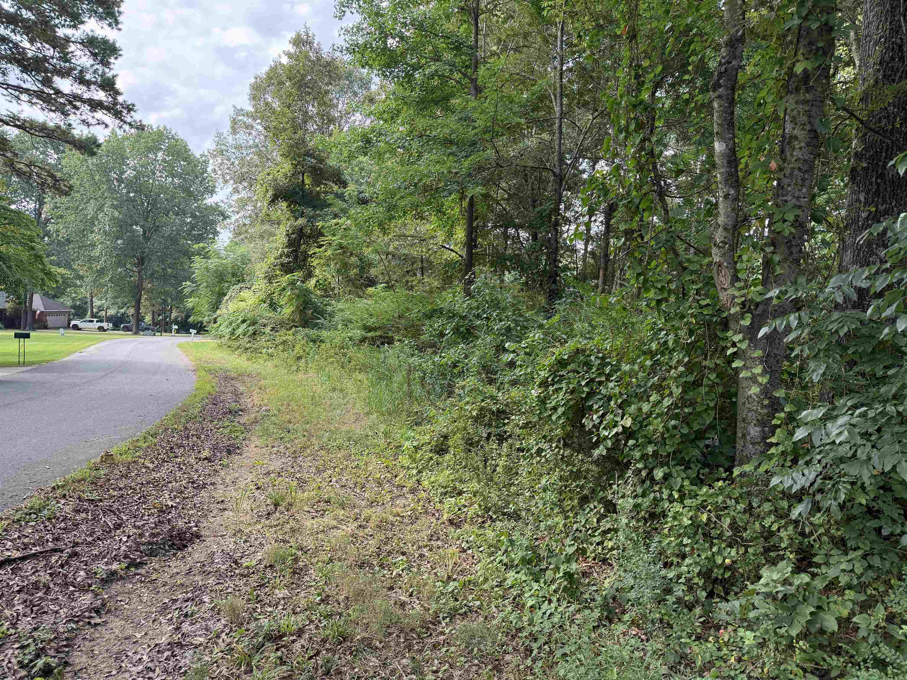 16 Camp Road