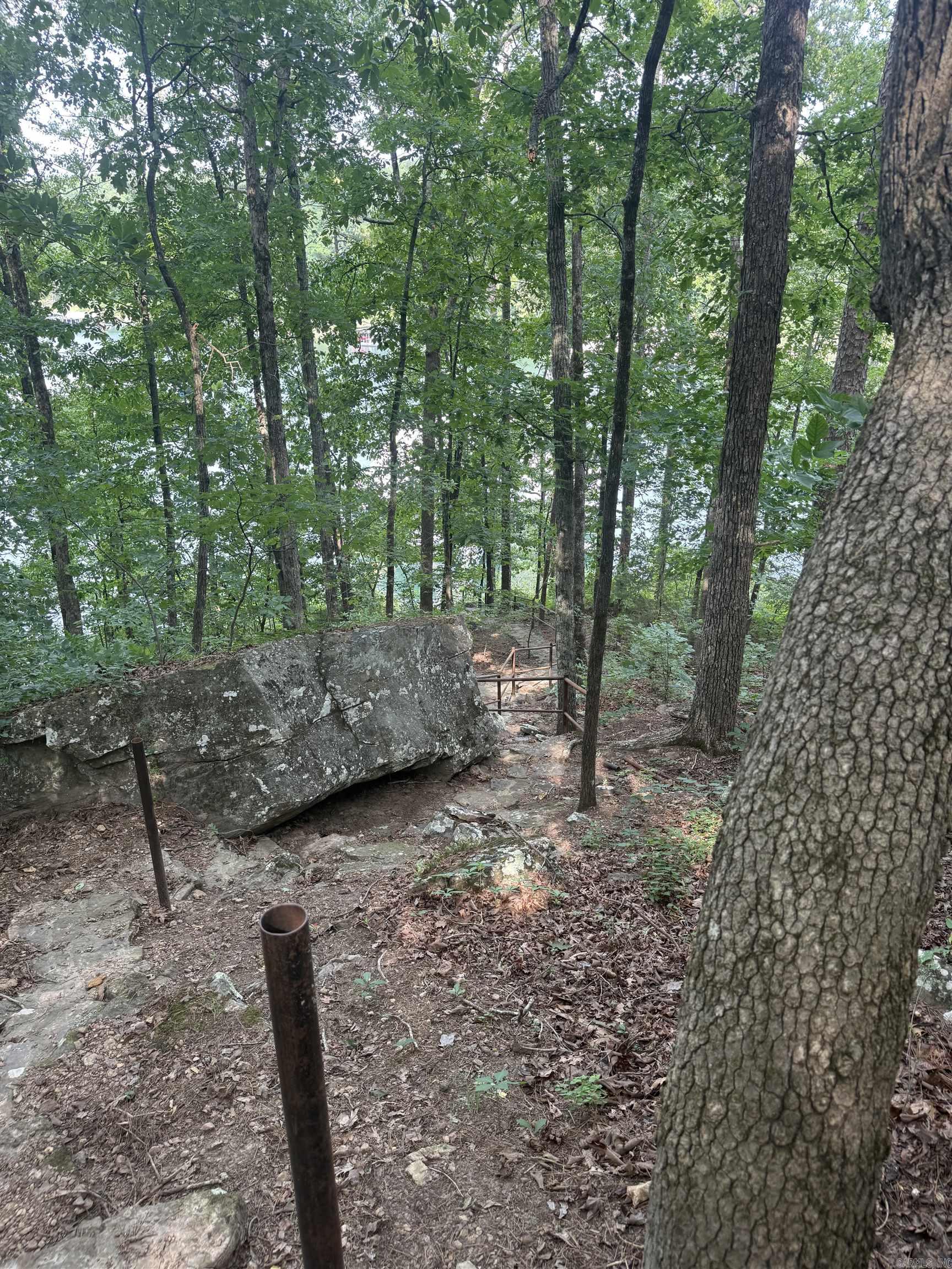 441 Cherokee Circle Greers Ferry, AR 72067