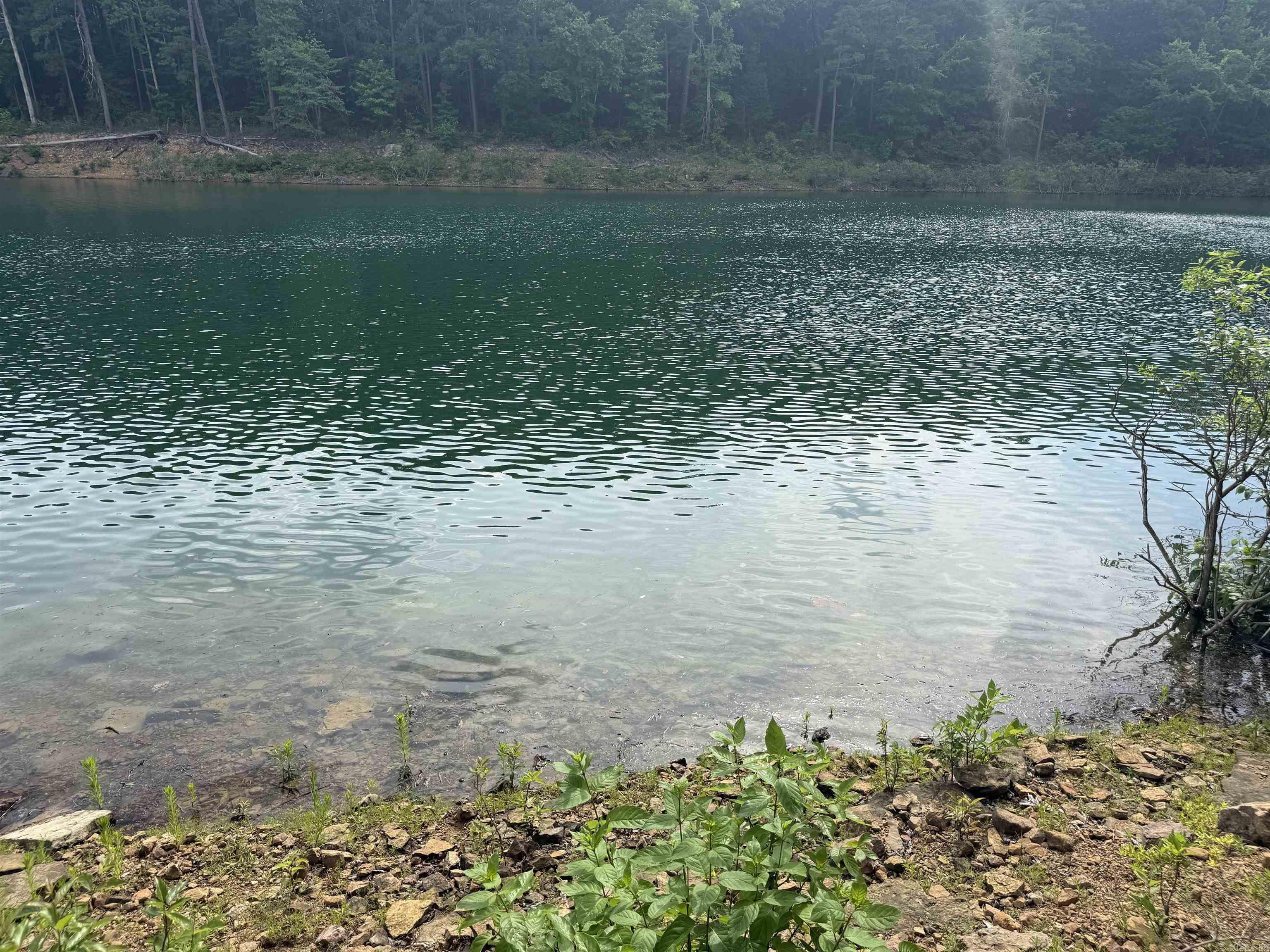441 Cherokee Circle Greers Ferry, AR 72067