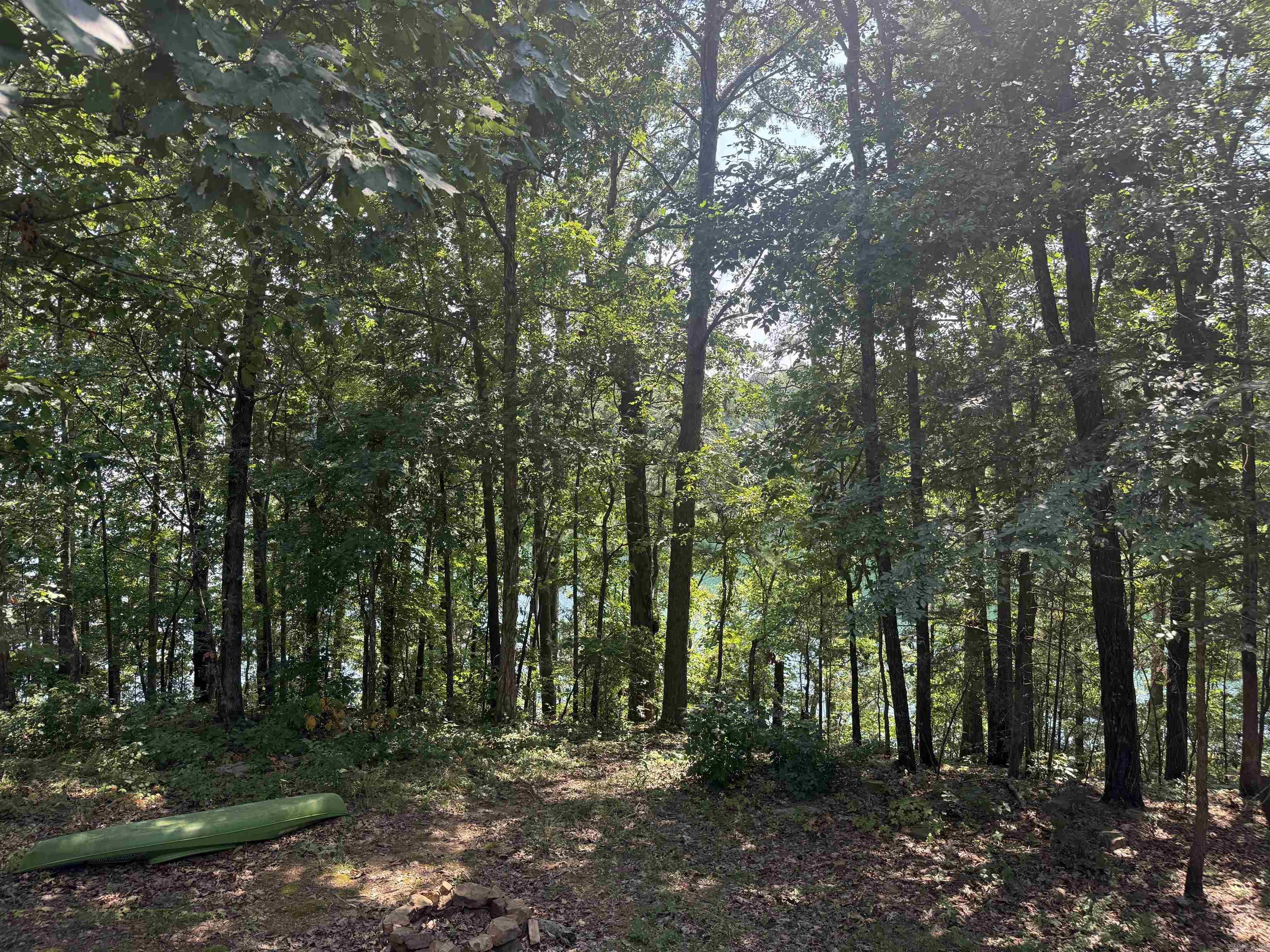 441 Cherokee Circle Greers Ferry, AR 72067