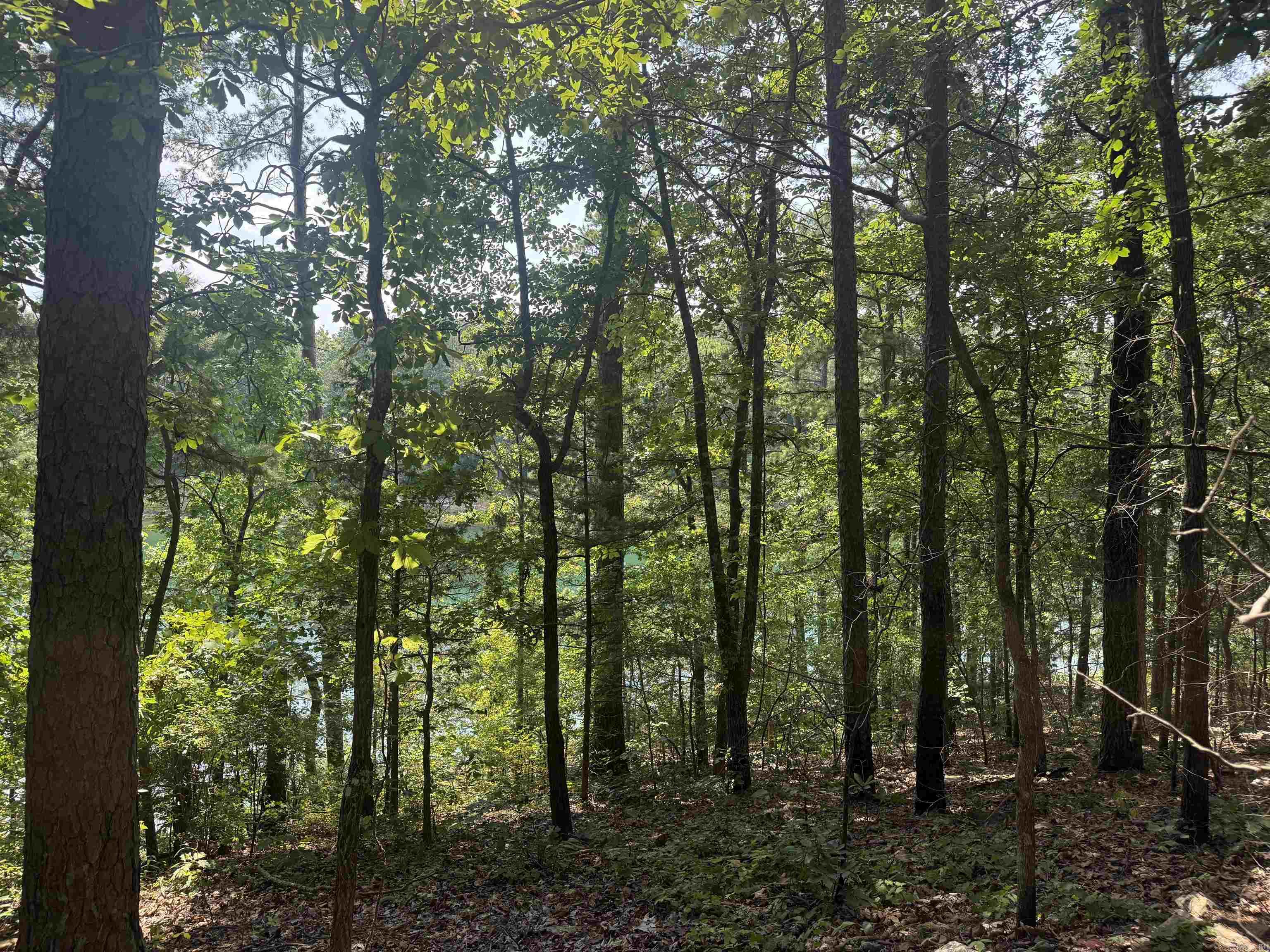 441 Cherokee Circle Greers Ferry, AR 72067