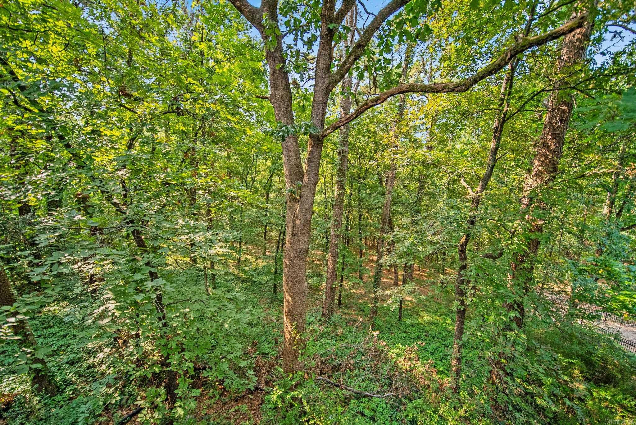 266 Valley Club Circle  Little Rock, AR