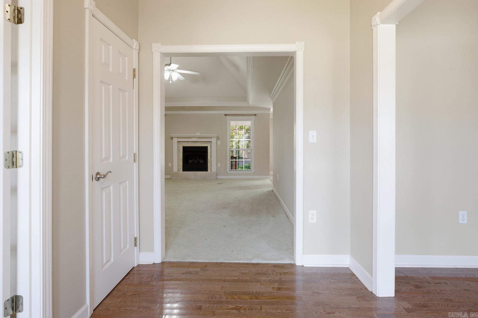 603 Llama  Searcy, AR