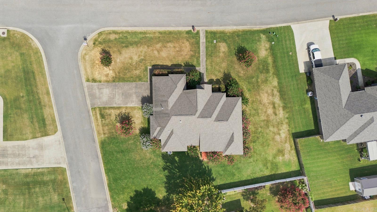 603 Llama  Searcy, AR