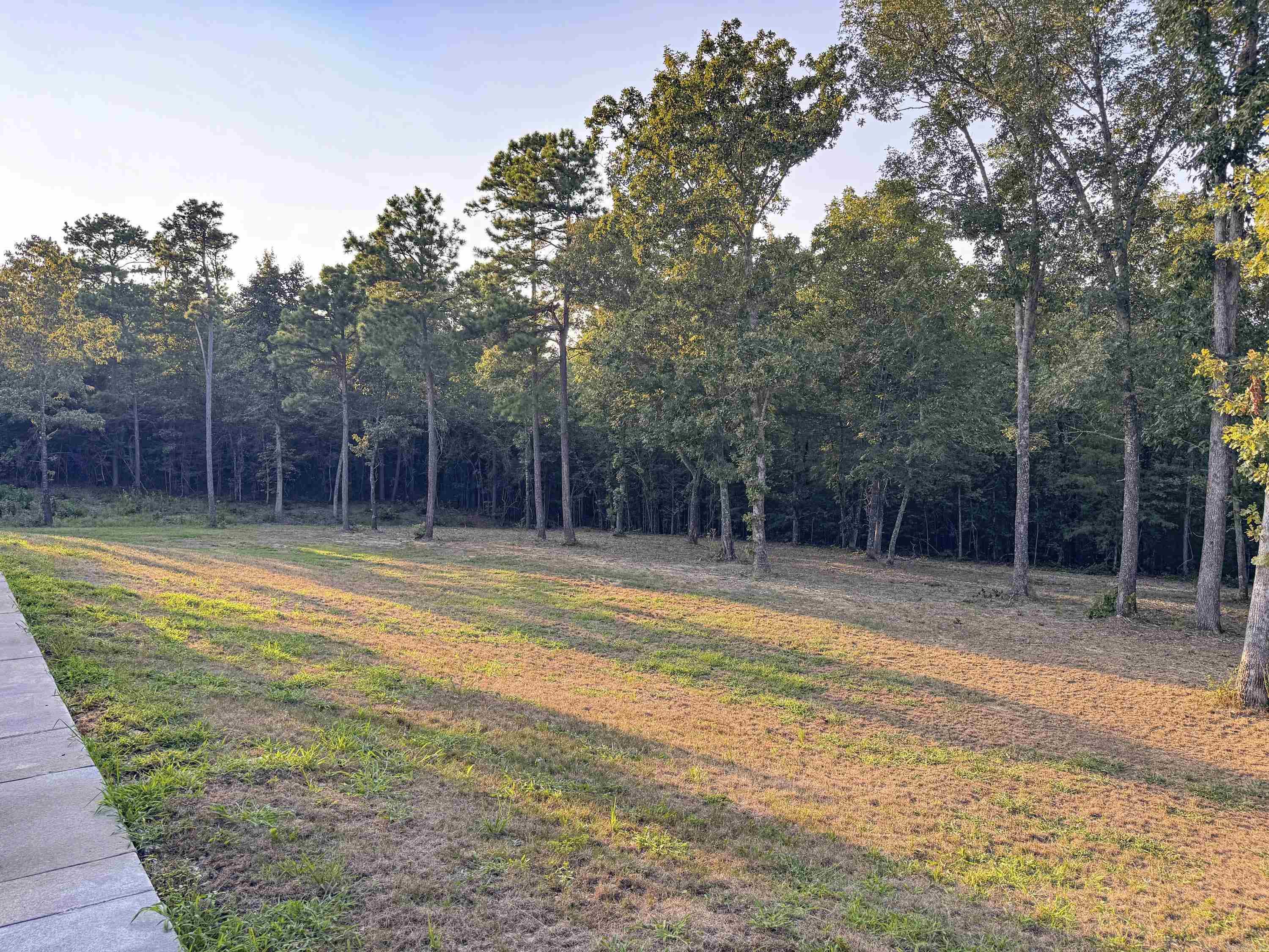 607 Odom Point  Bee Branch, AR