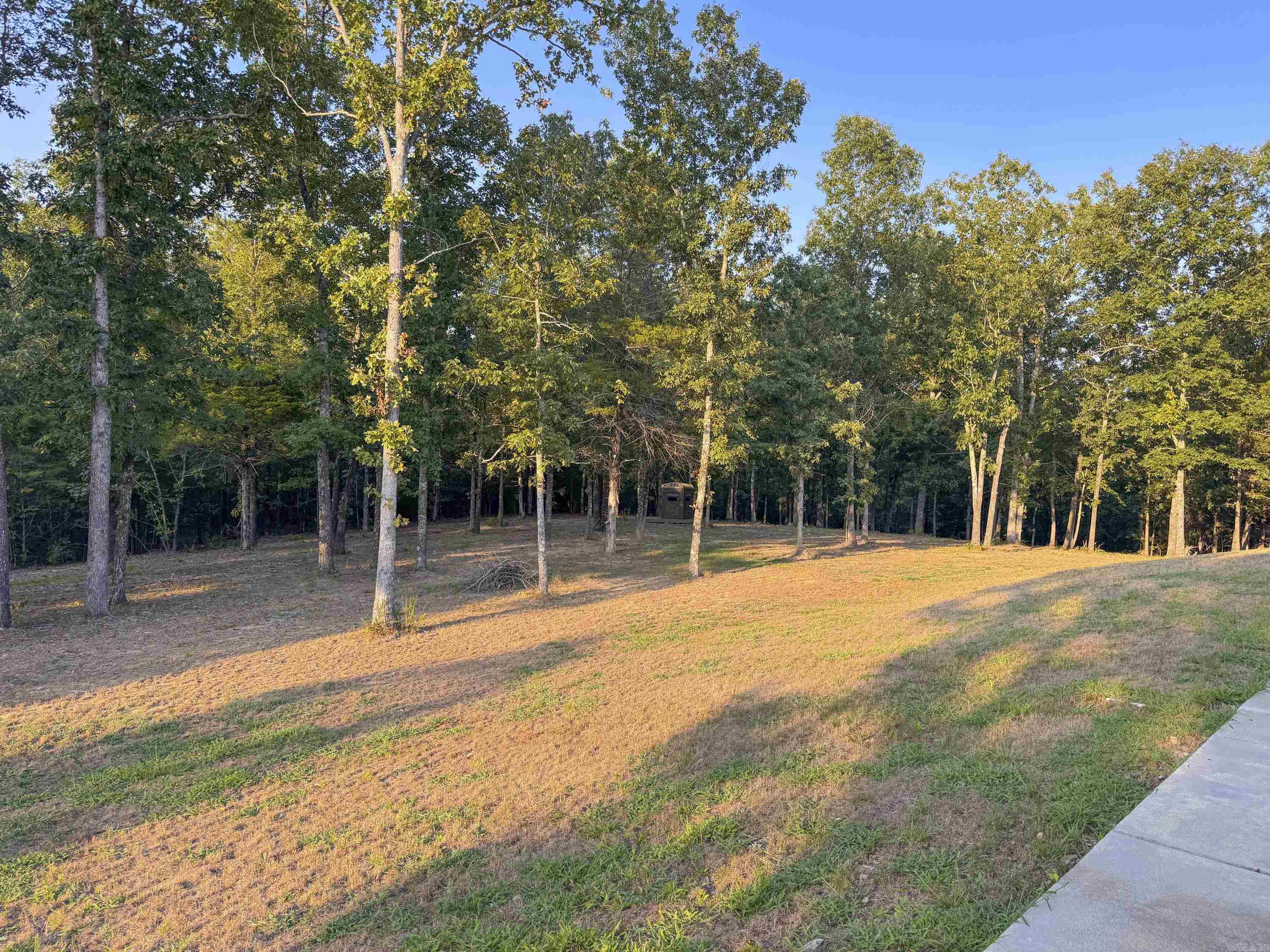 607 Odom Point  Bee Branch, AR
