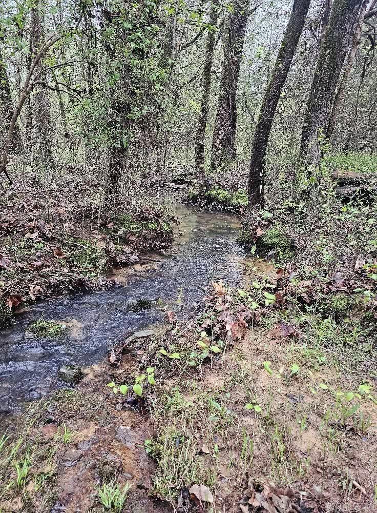 122 Beckett Mtn  Mt. Vernon, AR