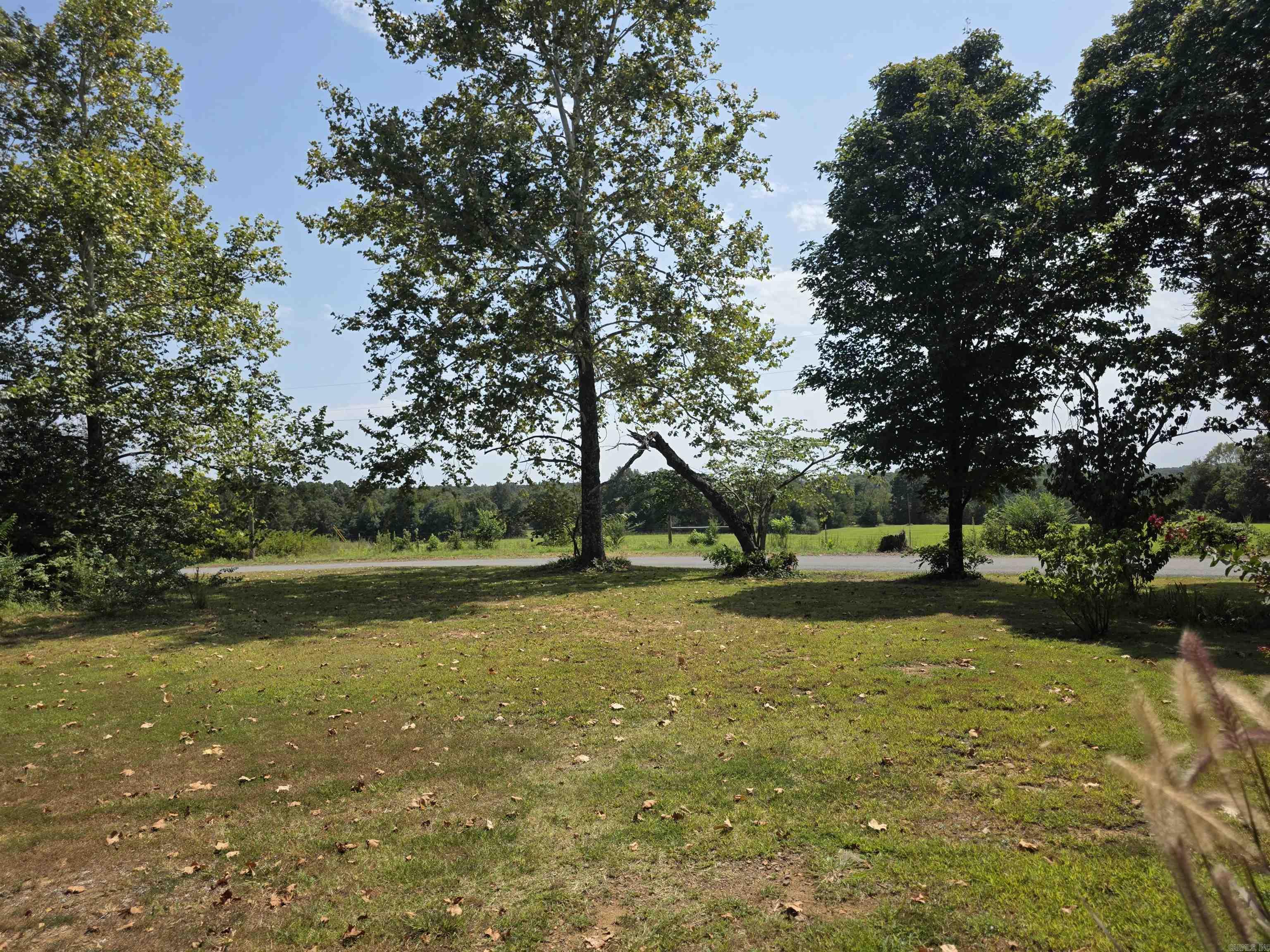 122 Beckett Mtn  Mt. Vernon, AR