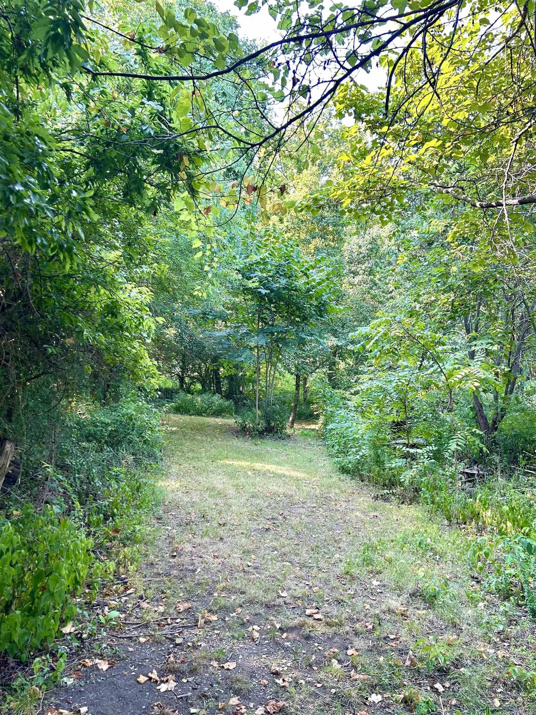 364 Bagby Lane  Mountain View, AR