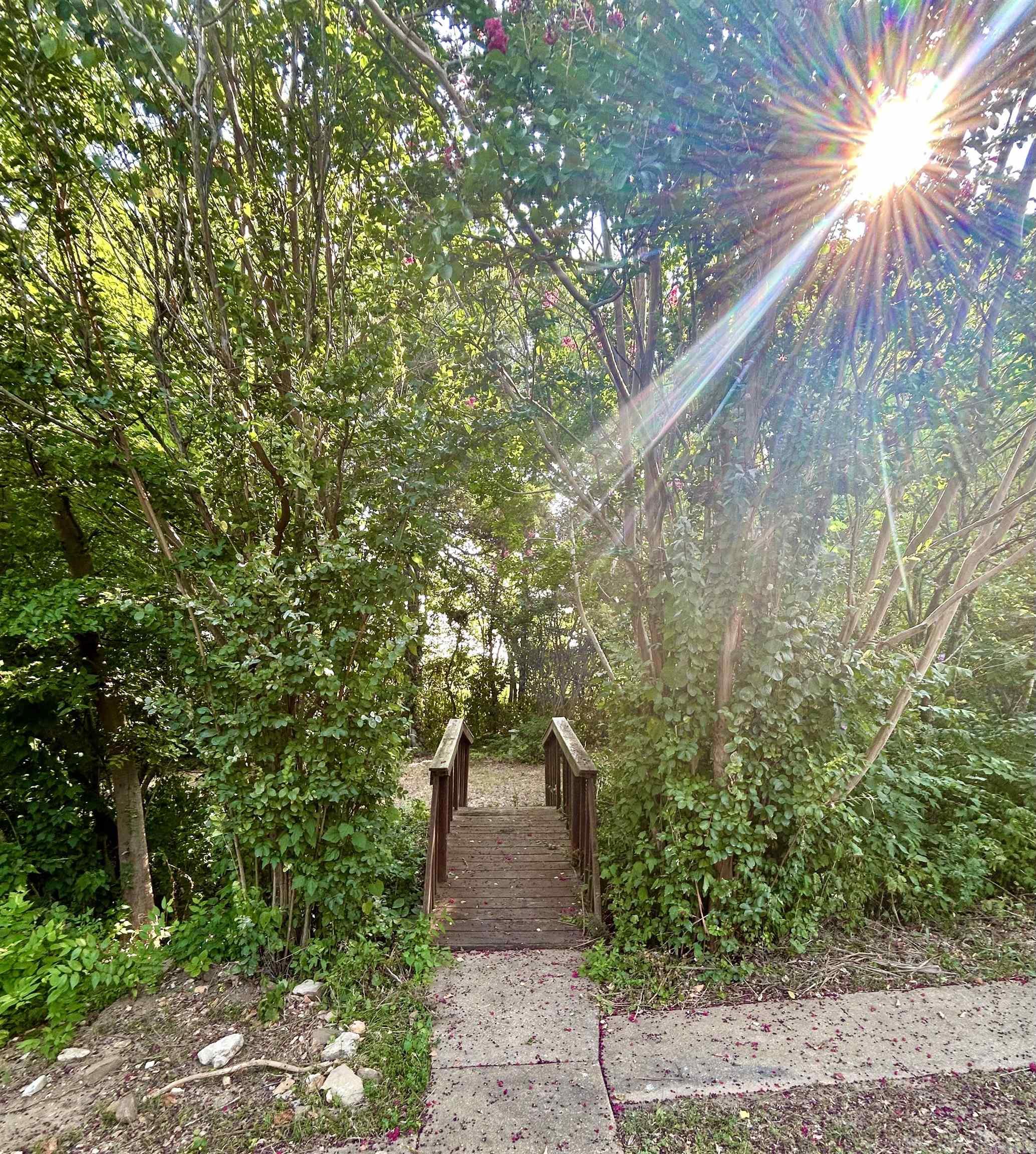 364 Bagby Lane  Mountain View, AR