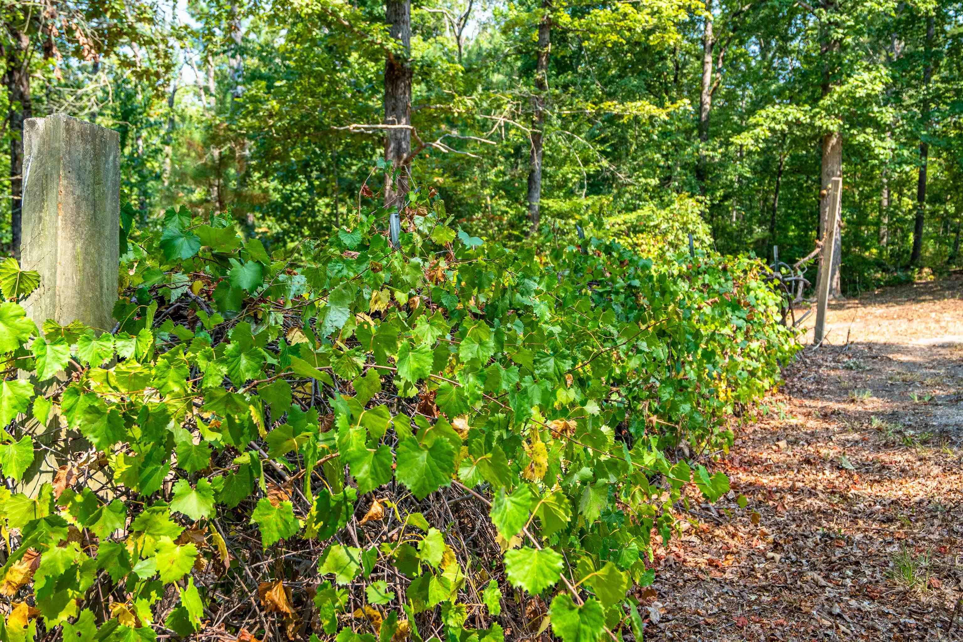 127 Wildflower  Hot Springs, AR