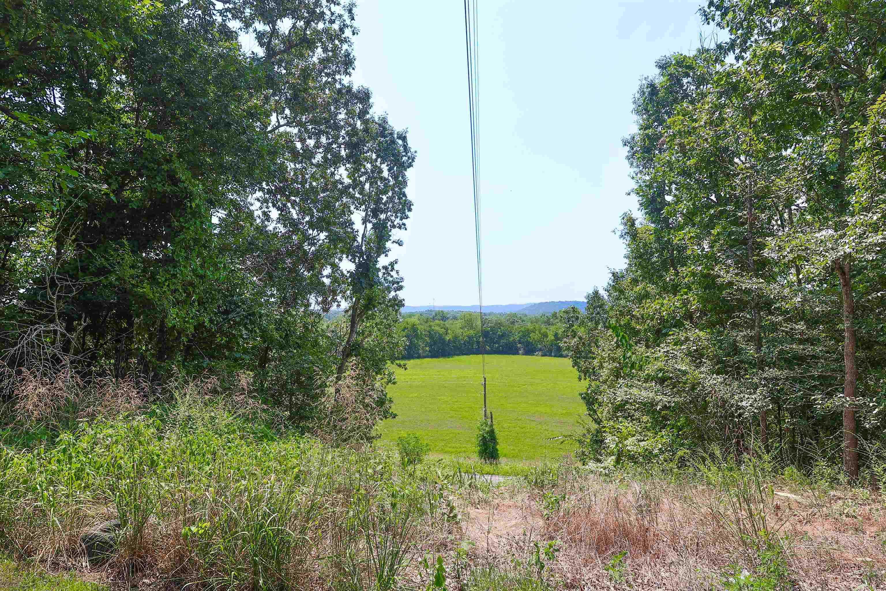 80 Parliment  Mount Ida, AR