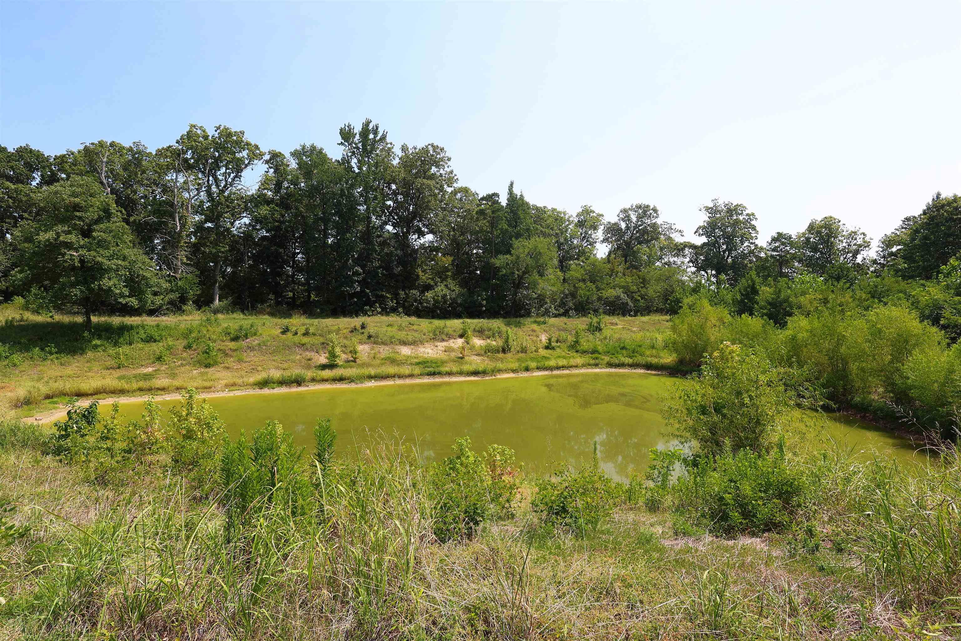 80 Parliment  Mount Ida, AR